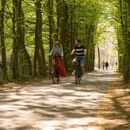 Comfort By Europarcs Hoge Kempen דירה *